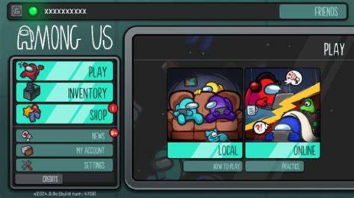 Can Among Us be played offline?