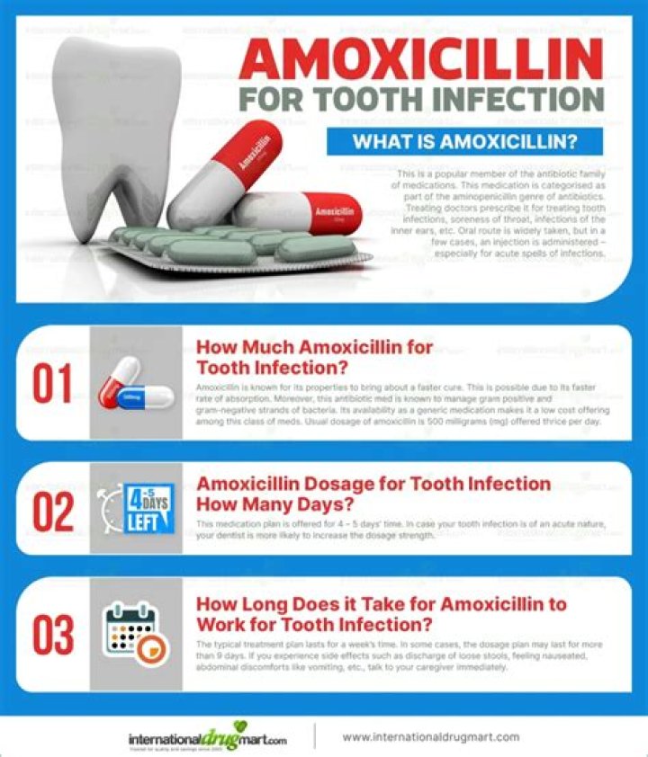 Can AMOX CLAV treat tooth infection?