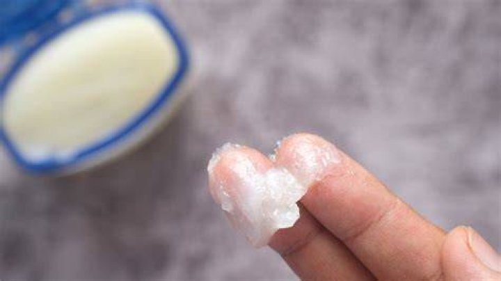 Can ants walk on petroleum jelly?