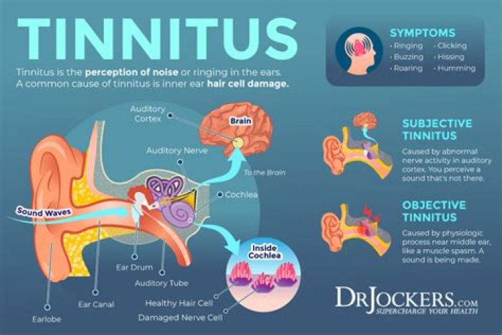 Can tinnitus damage your brain?