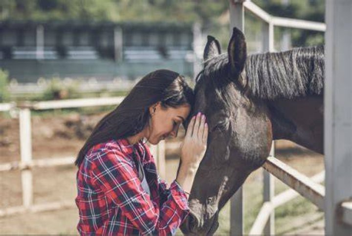 Do horses really bond with humans?