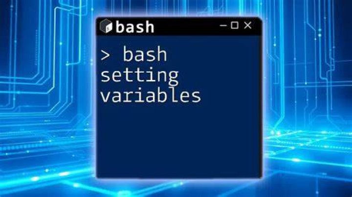 How do I set environment variables in bash?