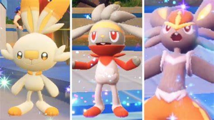 How do you get a female Scorbunny?