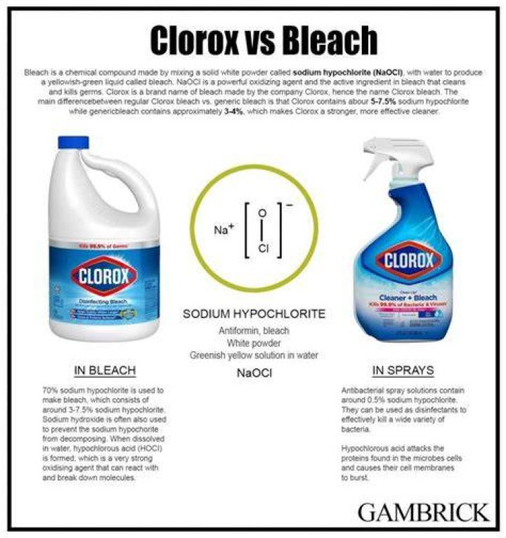 Is bleach and Clorox the same thing?