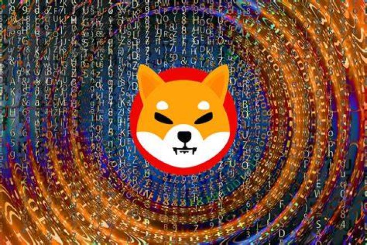 Is Shiba Shitcoin?