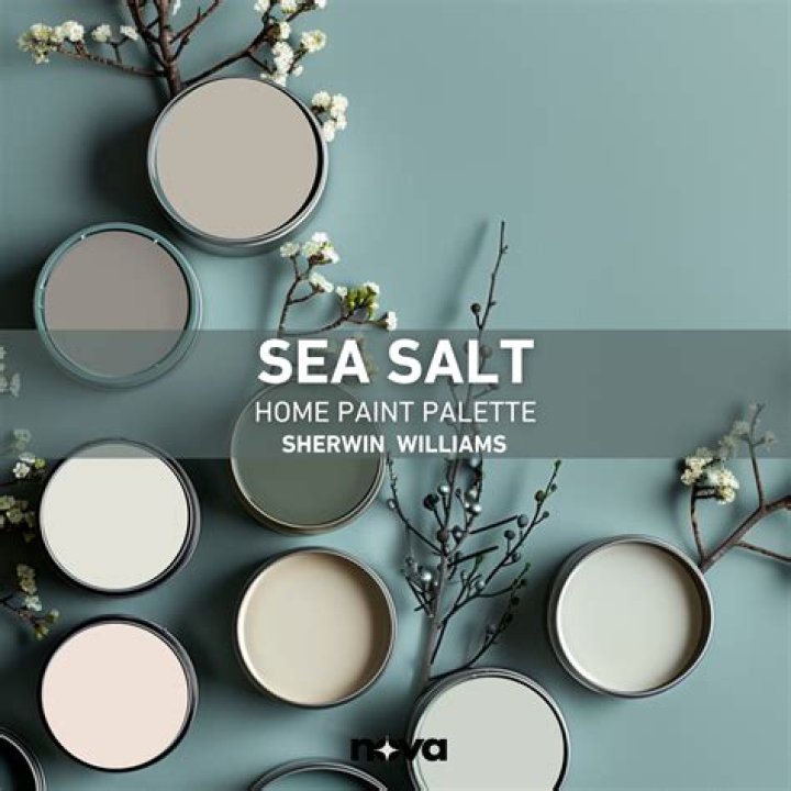 Is SW sea salt green or blue?