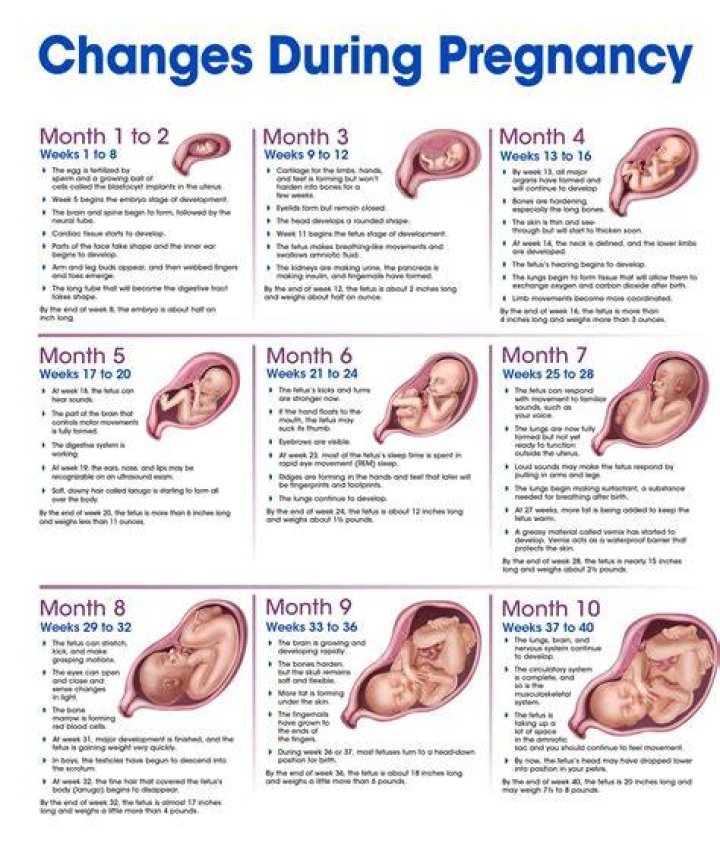 What's the hardest week of pregnancy?