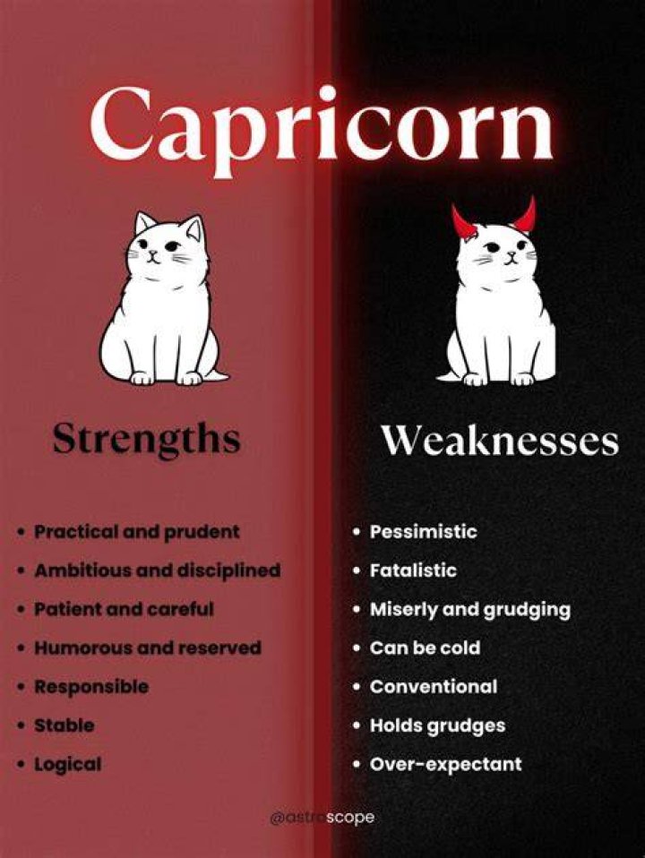 What are Capricorn weaknesses?