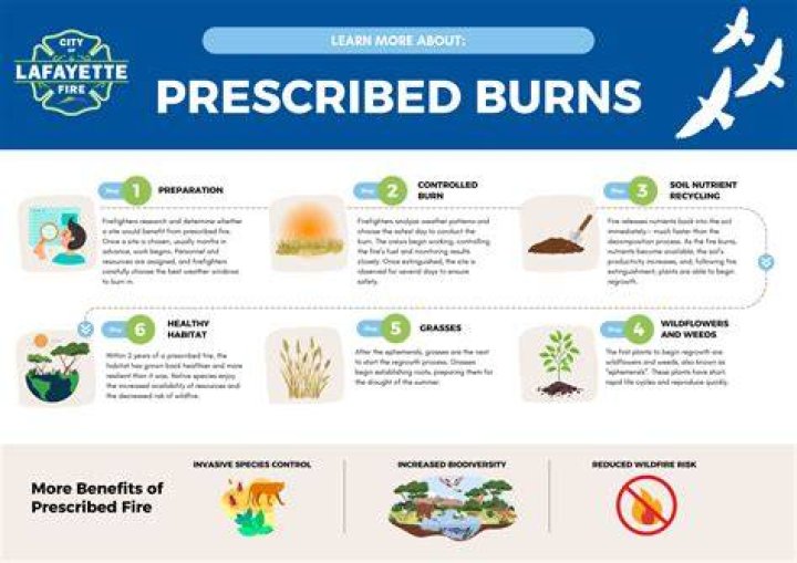 What is left after a fire burns out?