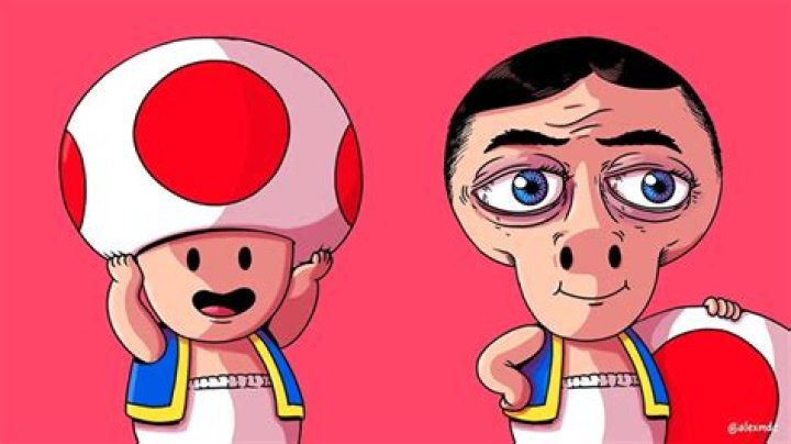 What is under a Toad hat?