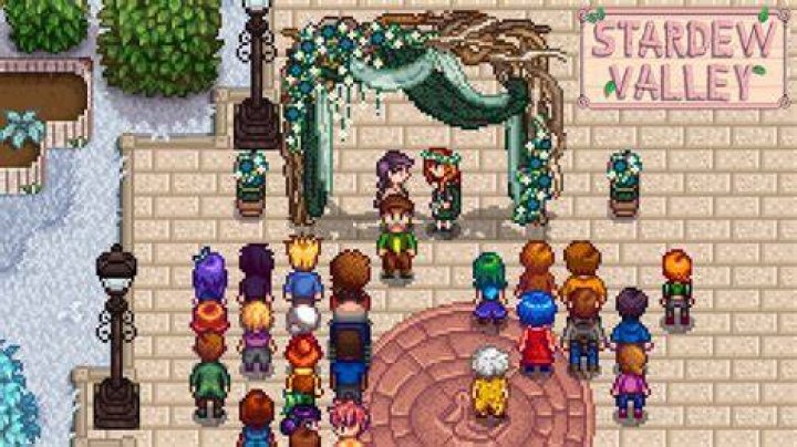 Who should you marry Stardew?