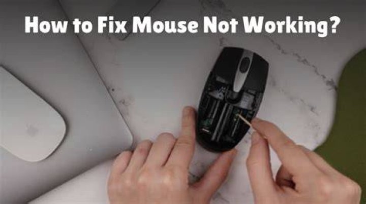 Why is my mouse not working?